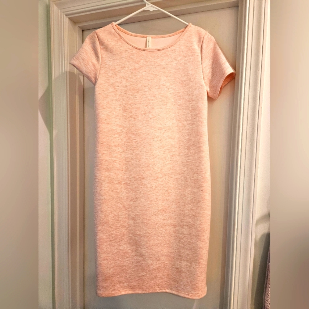 Pink Blush Maternity Dress (Pink)